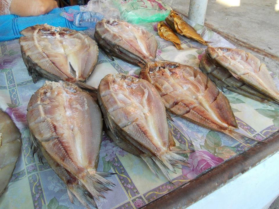 yamy - 10119784429186124816821862542892n.jpg